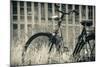 Abandoned Vintage Bicycle-Sheila Haddad-Mounted Photographic Print