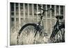 Abandoned Vintage Bicycle-Sheila Haddad-Framed Photographic Print