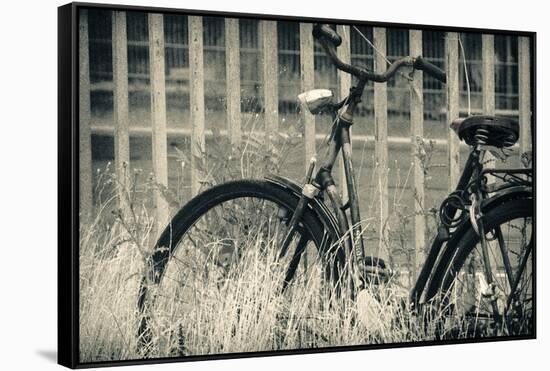 Abandoned Vintage Bicycle-Sheila Haddad-Framed Stretched Canvas