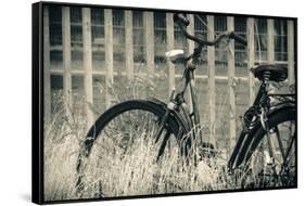 Abandoned Vintage Bicycle-Sheila Haddad-Framed Stretched Canvas