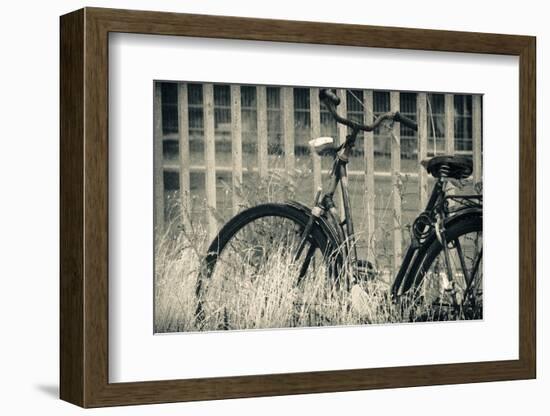 Abandoned Vintage Bicycle-Sheila Haddad-Framed Photographic Print