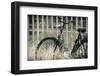 Abandoned Vintage Bicycle-Sheila Haddad-Framed Photographic Print