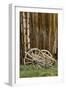 Abandoned wooden wagon, Bodie State Historic Park, California-Adam Jones-Framed Photographic Print