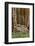 Abandoned wooden wagon, Bodie State Historic Park, California-Adam Jones-Framed Photographic Print