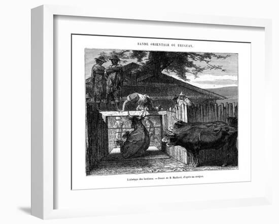 Abattoir, Uruguay, 19th Century-D Maillard-Framed Giclee Print