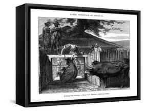 Abattoir, Uruguay, 19th Century-D Maillard-Framed Stretched Canvas