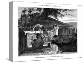 Abattoir, Uruguay, 19th Century-D Maillard-Stretched Canvas