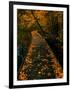 Abaveo-Jim Crotty-Framed Photographic Print