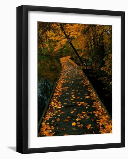 Abaveo-Jim Crotty-Framed Photographic Print