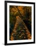 Abaveo-Jim Crotty-Framed Premium Photographic Print