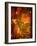 Abaveo-Tim Kahane-Framed Photographic Print