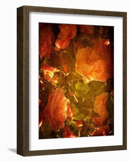 Abaveo-Tim Kahane-Framed Photographic Print