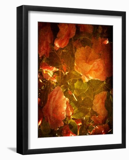 Abaveo-Tim Kahane-Framed Photographic Print