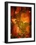 Abaveo-Tim Kahane-Framed Photographic Print