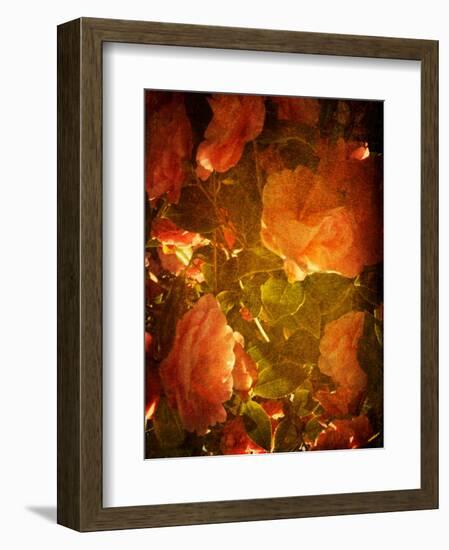 Abaveo-Tim Kahane-Framed Photographic Print