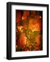 Abaveo-Tim Kahane-Framed Photographic Print