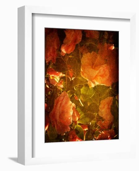 Abaveo-Tim Kahane-Framed Photographic Print