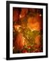 Abaveo-Tim Kahane-Framed Photographic Print