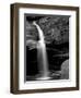 Abazz-Jim Crotty-Framed Photographic Print