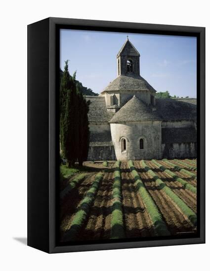 Abbaye De Senanque, Gordes, Vaucluse, Provence, France-Jean Brooks-Framed Stretched Canvas