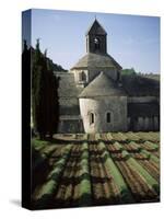 Abbaye De Senanque, Gordes, Vaucluse, Provence, France-Jean Brooks-Stretched Canvas