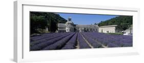 Abbaye de Senanque with purple lavender in foreground, Gordes-Stuart Black-Framed Photographic Print