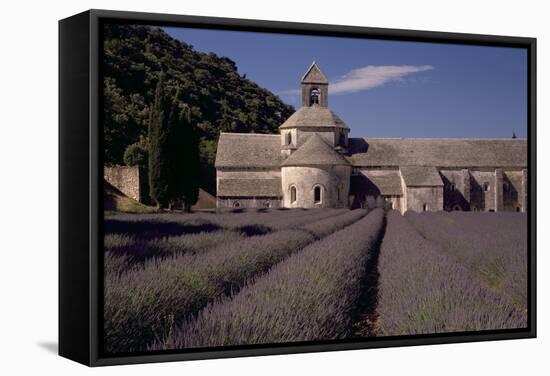 Abbaye Notre-Dame De Senanque, Gordes - Provence, France-Achim Bednorz-Framed Stretched Canvas