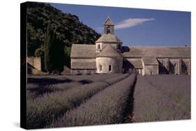Abbaye Notre-Dame De Senanque, Gordes - Provence, France-Achim Bednorz-Stretched Canvas