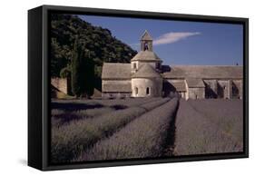 Abbaye Notre-Dame De Senanque, Gordes - Provence, France-Achim Bednorz-Framed Stretched Canvas