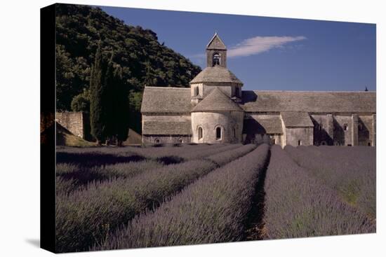 Abbaye Notre-Dame De Senanque, Gordes - Provence, France-Achim Bednorz-Stretched Canvas