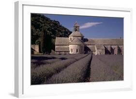 Abbaye Notre-Dame De Senanque, Gordes - Provence, France-Achim Bednorz-Framed Photographic Print