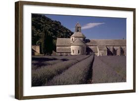 Abbaye Notre-Dame De Senanque, Gordes - Provence, France-Achim Bednorz-Framed Photographic Print