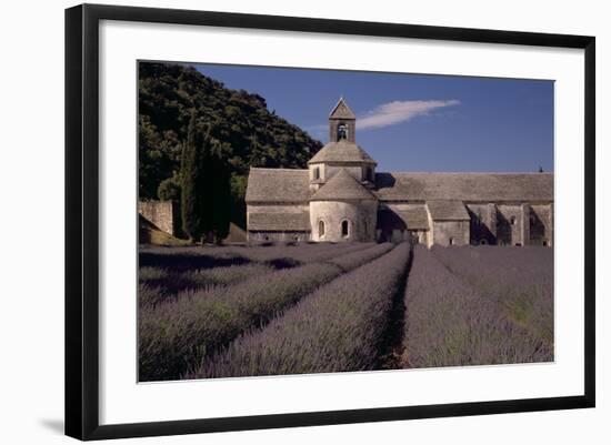 Abbaye Notre-Dame De Senanque, Gordes - Provence, France-Achim Bednorz-Framed Photographic Print