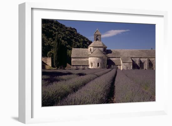 Abbaye Notre-Dame De Senanque, Gordes - Provence, France-Achim Bednorz-Framed Photographic Print
