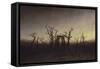 Abbey Among Oak Trees, Ca 1809-Caspar David Friedrich-Framed Stretched Canvas