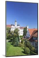 Abbey Church, Rot an Der Rot, Upper Swabia, Baden Wurttemberg, Germany, Europe-Markus Lange-Mounted Photographic Print