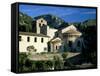 Abbey Church, St. Guilhem-Le-Desert, Herault, Languedoc-Roussillon, France-Ruth Tomlinson-Framed Stretched Canvas