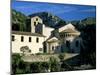 Abbey Church, St. Guilhem-Le-Desert, Herault, Languedoc-Roussillon, France-Ruth Tomlinson-Mounted Photographic Print