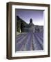 Abbey De Senanque, Provence, France-Marcel Malherbe-Framed Premium Photographic Print