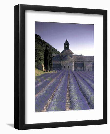 Abbey De Senanque, Provence, France-Marcel Malherbe-Framed Premium Photographic Print