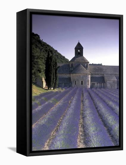 Abbey De Senanque, Provence, France-Marcel Malherbe-Framed Stretched Canvas