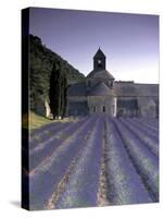 Abbey De Senanque, Provence, France-Marcel Malherbe-Stretched Canvas