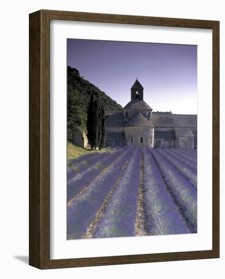 Abbey De Senanque, Provence, France-Marcel Malherbe-Framed Photographic Print