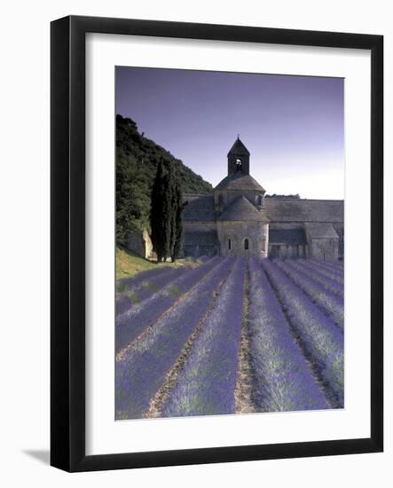 Abbey De Senanque, Provence, France-Marcel Malherbe-Framed Photographic Print