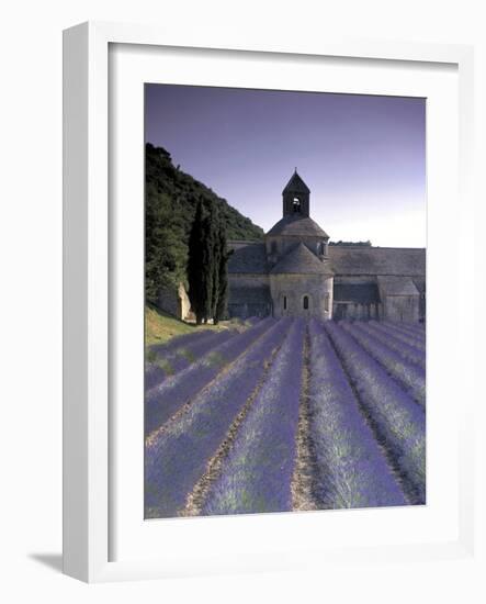 Abbey De Senanque, Provence, France-Marcel Malherbe-Framed Photographic Print