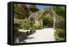 Abbey Gardens, Isle of Tresco, Isles of Scilly, United Kingdom, Europe-Peter Barritt-Framed Stretched Canvas