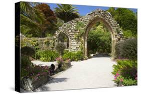 Abbey Gardens, Isle of Tresco, Isles of Scilly, United Kingdom, Europe-Peter Barritt-Stretched Canvas