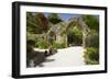 Abbey Gardens, Isle of Tresco, Isles of Scilly, United Kingdom, Europe-Peter Barritt-Framed Photographic Print