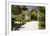 Abbey Gardens, Isle of Tresco, Isles of Scilly, United Kingdom, Europe-Peter Barritt-Framed Photographic Print