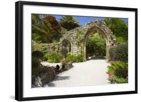 Abbey Gardens, Isle of Tresco, Isles of Scilly, United Kingdom, Europe-Peter Barritt-Framed Photographic Print